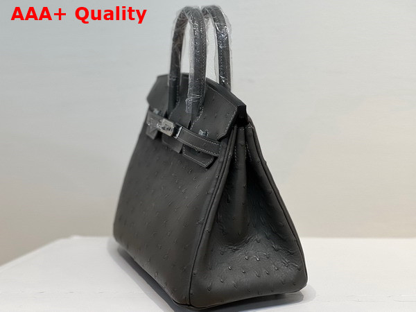 Hermes Ostrich Birkin 25 Bag in Dark Grey Replica