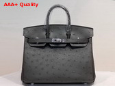 Hermes Ostrich Birkin 25 Bag in Dark Grey Replica