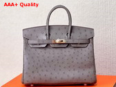 Hermes Ostrich Birkin 25 Bag in Elephant Grey Replica