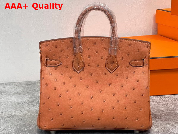 Hermes Ostrich Birkin 25 Bag in Gold Brown Replica