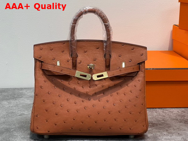 Hermes Ostrich Birkin 25 Bag in Gold Brown Replica