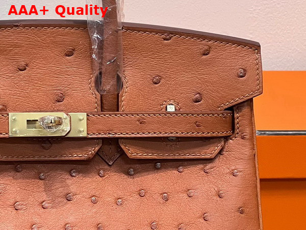 Hermes Ostrich Birkin 25 Bag in Gold Brown Replica