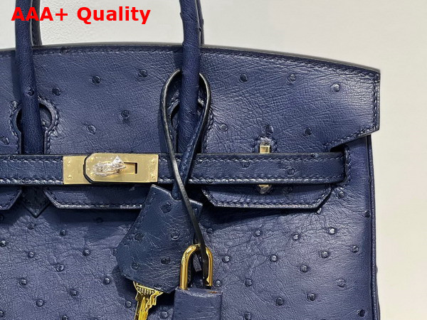 Hermes Ostrich Birkin 25 Bag in Midnight Blue Replica