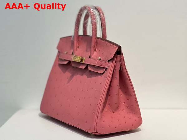 Hermes Ostrich Birkin 25 Bag in Milk Powder Replica