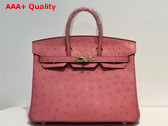 Hermes Ostrich Birkin 25 Bag in Milk Powder Replica