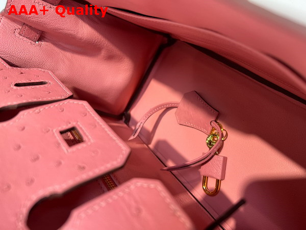 Hermes Ostrich Birkin 25 Bag in Milk Powder Replica