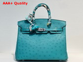 Hermes Ostrich Birkin 25 Bag in Peacock Blue Replica