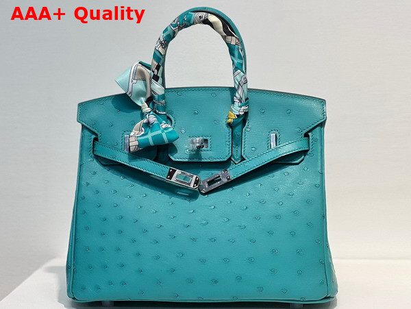 Hermes Ostrich Birkin 25 Bag in Peacock Blue Replica