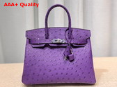 Hermes Ostrich Birkin 25 Bag in Purple Replica
