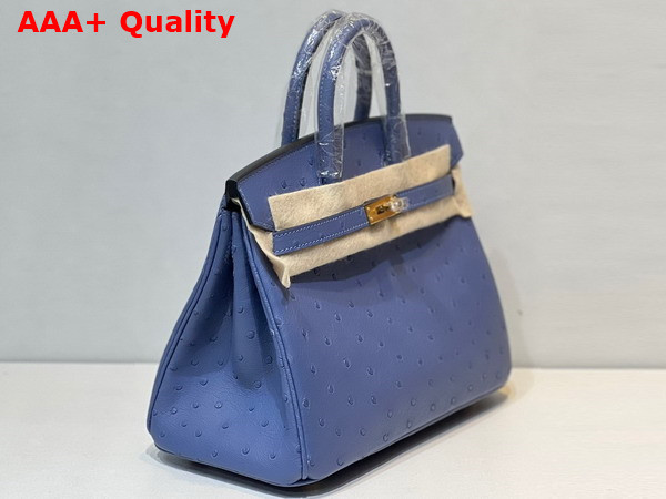 Hermes Ostrich Birkin 25 Bag in Sky Blue Replica