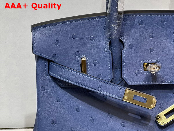 Hermes Ostrich Birkin 25 Bag in Sky Blue Replica