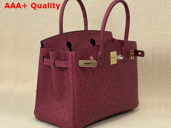 Hermes Ostrich Birkin 30 Bag in Burgundy Replica