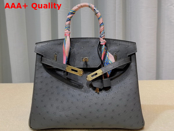 Hermes Ostrich Birkin 30 Bag in Dark Grey Replica