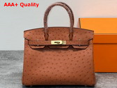 Hermes Ostrich Birkin 30 Bag in Gold Brown Replica