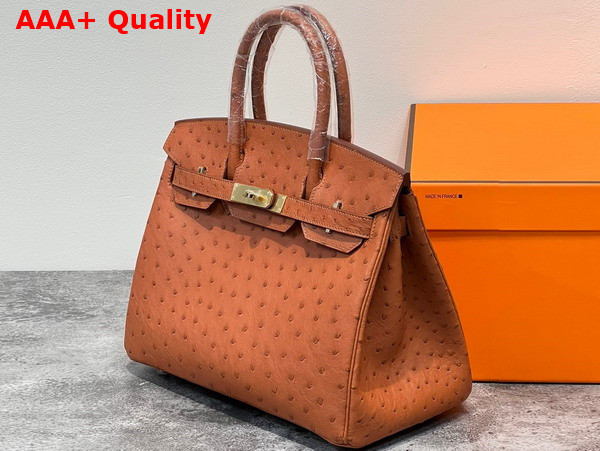 Hermes Ostrich Birkin 30 Bag in Gold Brown Replica