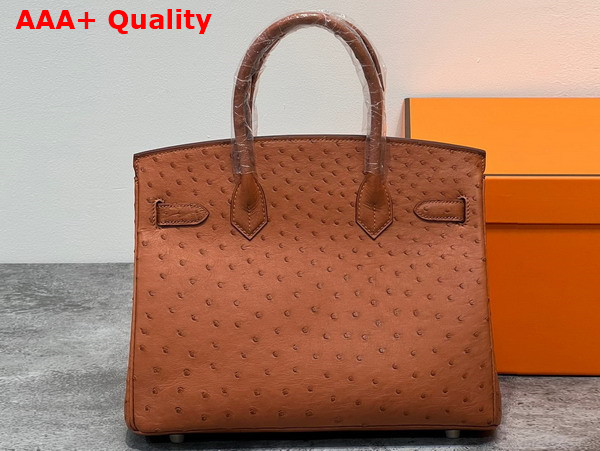 Hermes Ostrich Birkin 30 Bag in Gold Brown Replica