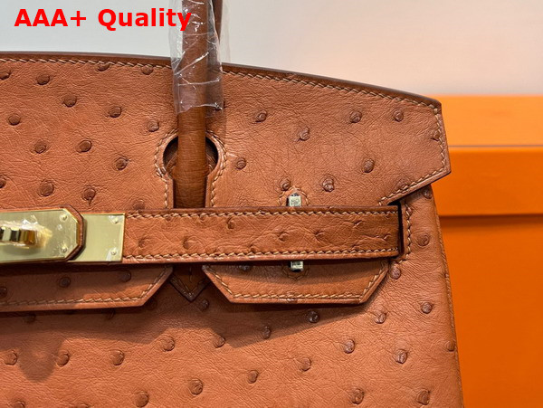 Hermes Ostrich Birkin 30 Bag in Gold Brown Replica