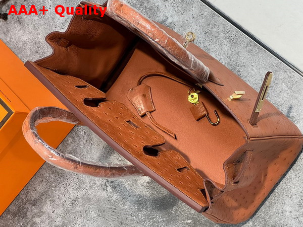 Hermes Ostrich Birkin 30 Bag in Gold Brown Replica