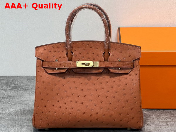 Hermes Ostrich Birkin 30 Bag in Gold Brown Replica