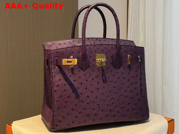 Hermes Ostrich Birkin 30 Bag in Grape Replica