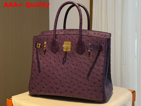 Hermes Ostrich Birkin 30 Bag in Grape Replica