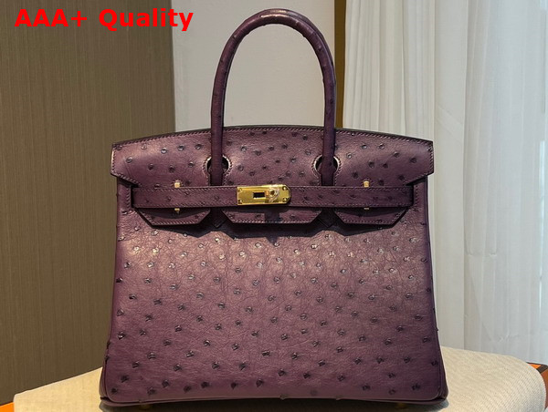 Hermes Ostrich Birkin 30 Bag in Grape Replica