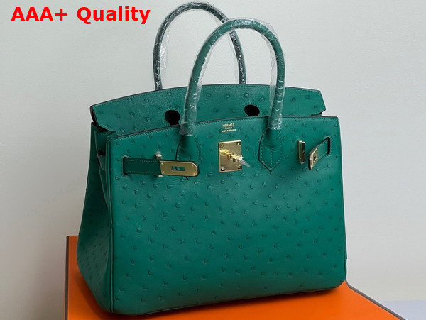 Hermes Ostrich Birkin 30 Bag in Green Replica