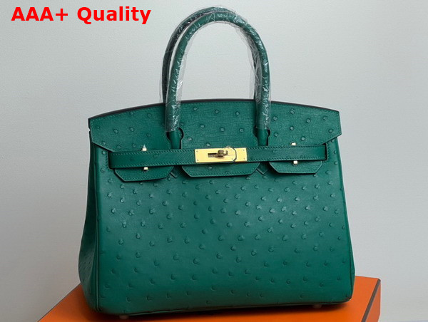 Hermes Ostrich Birkin 30 Bag in Green Replica