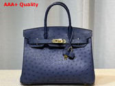 Hermes Ostrich Birkin 30 Bag in Midnight Blue Replica