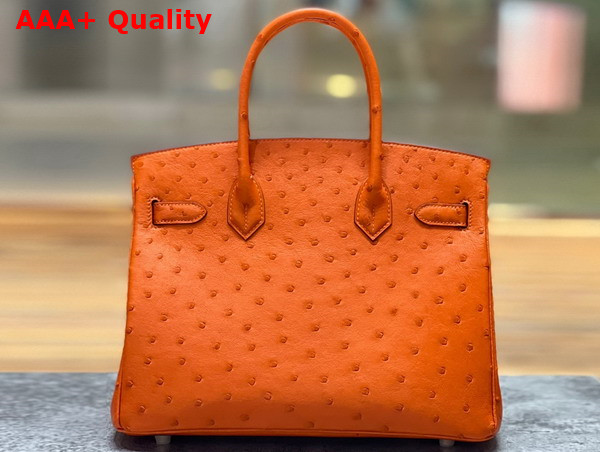 Hermes Ostrich Birkin 30 Bag in Orange Replica