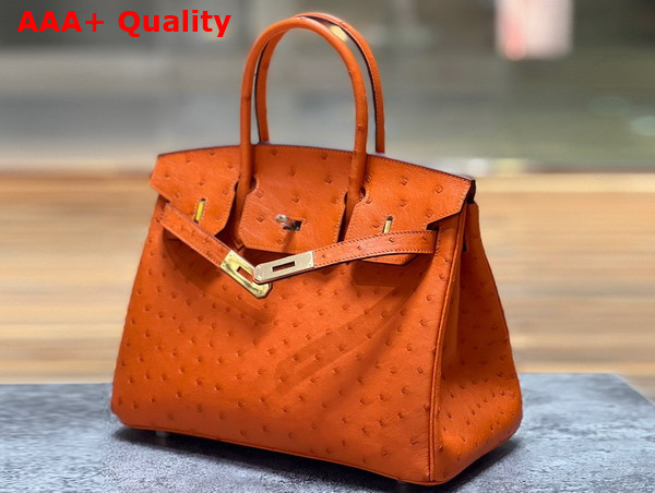 Hermes Ostrich Birkin 30 Bag in Orange Replica