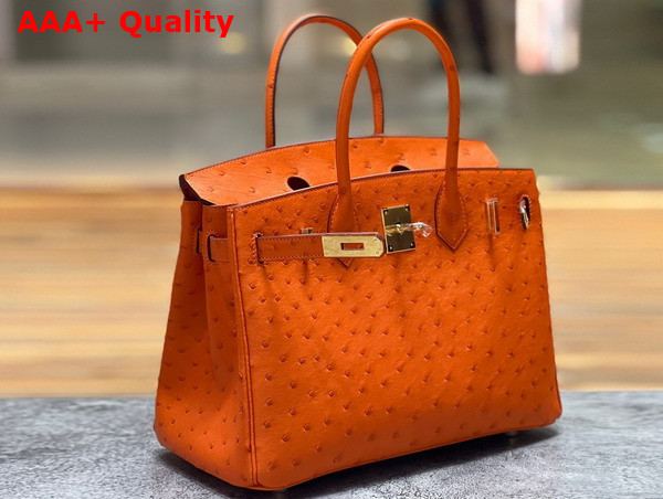 Hermes Ostrich Birkin 30 Bag in Orange Replica