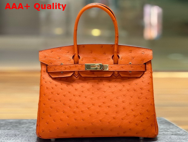 Hermes Ostrich Birkin 30 Bag in Orange Replica