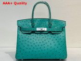 Hermes Ostrich Birkin 30 Bag in Peacock Blue Replica