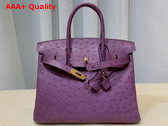 Hermes Ostrich Birkin 30 Bag in Purple Replica
