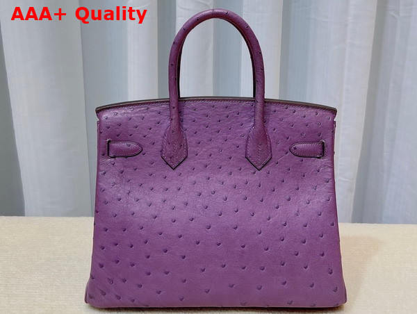 Hermes Ostrich Birkin 30 Bag in Purple Replica