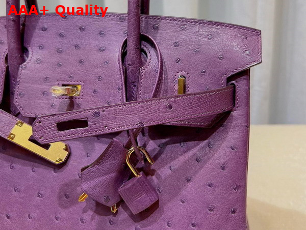 Hermes Ostrich Birkin 30 Bag in Purple Replica