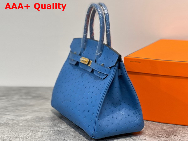 Hermes Ostrich Birkin 30 Bag in Sky Blue Replica