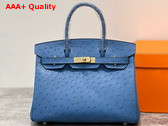 Hermes Ostrich Birkin 30 Bag in Sky Blue Replica