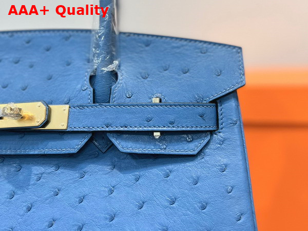 Hermes Ostrich Birkin 30 Bag in Sky Blue Replica