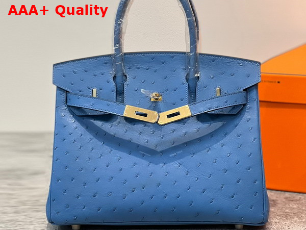 Hermes Ostrich Birkin 30 Bag in Sky Blue Replica