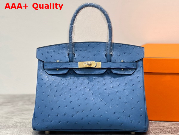 Hermes Ostrich Birkin 30 Bag in Sky Blue Replica