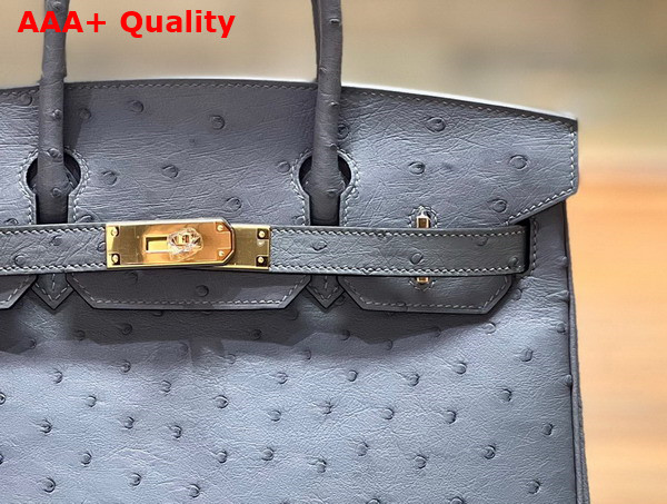 Hermes Ostrich Birkin 30 Bag in Storm Replica