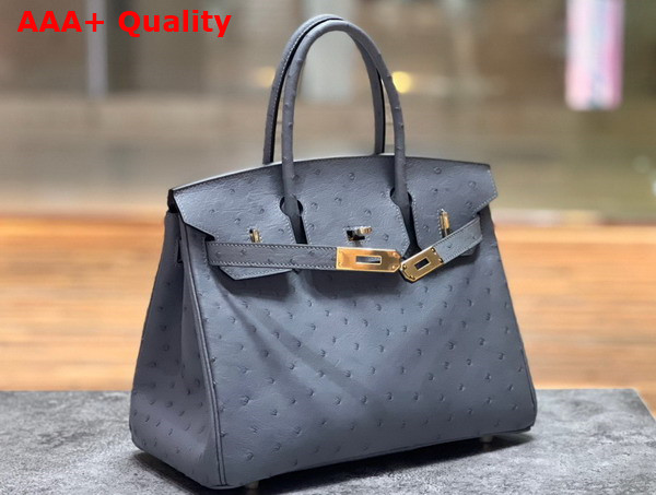 Hermes Ostrich Birkin 30 Bag in Storm Replica