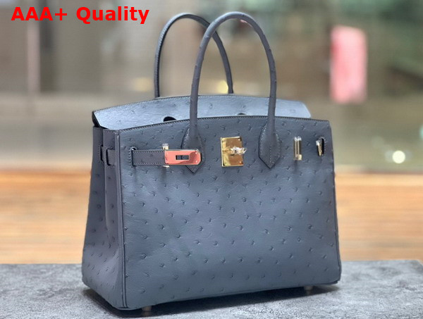 Hermes Ostrich Birkin 30 Bag in Storm Replica
