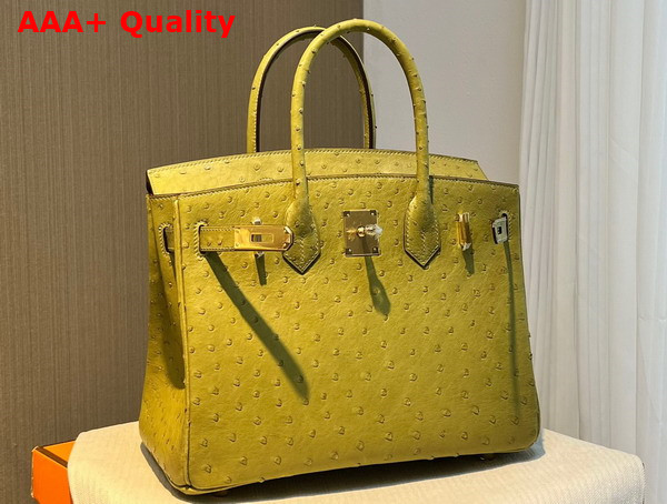 Hermes Ostrich Birkin 30 Bag in Yellow Replica