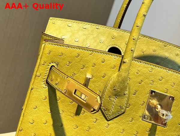 Hermes Ostrich Birkin 30 Bag in Yellow Replica