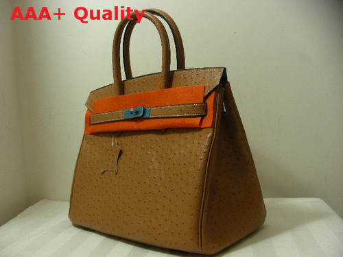 Hermes Ostrich Birkin 35 Light Coffee Replica