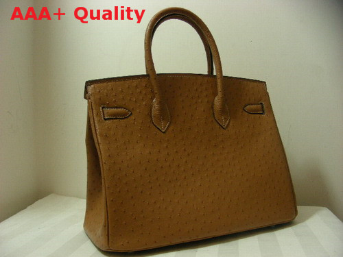 Hermes Ostrich Birkin 35 Light Coffee Replica