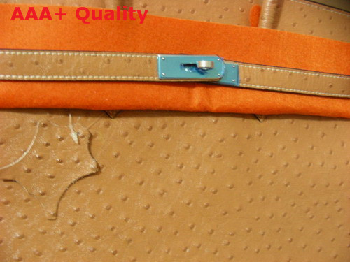 Hermes Ostrich Birkin 35 Light Coffee Replica